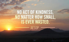 The Priceless Gift – Volunteer!