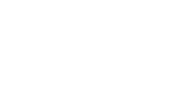 bridgeline brain injury support logo